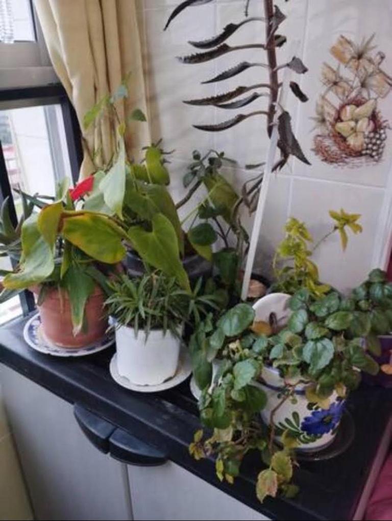 Habitaciones Privadas Con Cama Doble En Sevilla エクステリア 写真